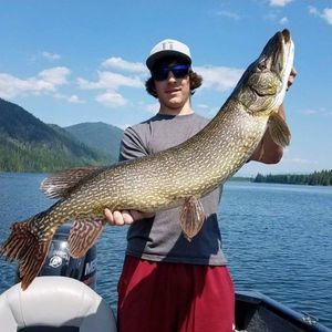 Meet your Posher, Dylan